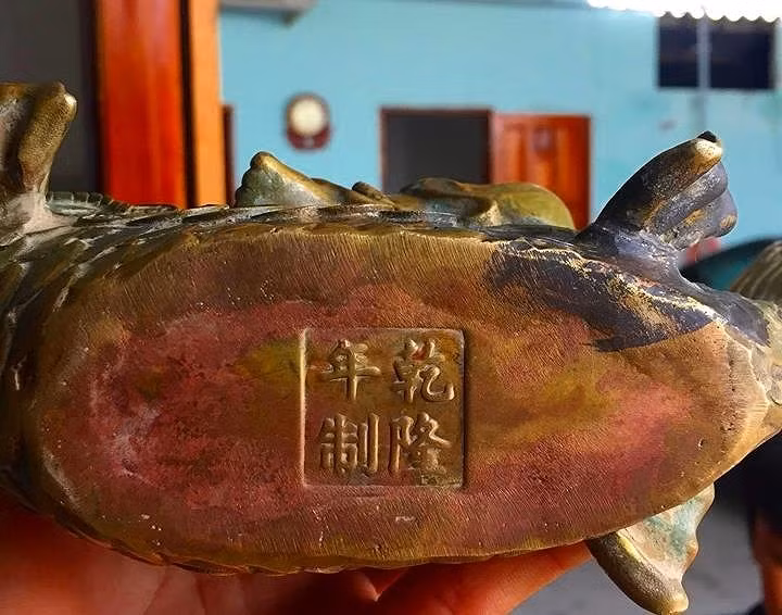 Dao ao bat ngo phat hien 'kho bau' khung gan nui Tau-Hinh-6