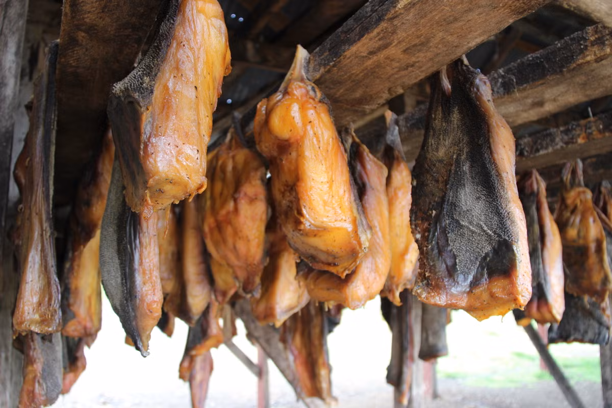 Thịt cá được chặt thành nhiều miếng, chôn sâu trong sỏi hoặc thùng nhiều lỗ. Sau đó, thịt được ủ lên men từ 6 tuần đến vài tháng. Đây là khoảng thời gian thịt rũa ra. Ảnh: Islandreisen.