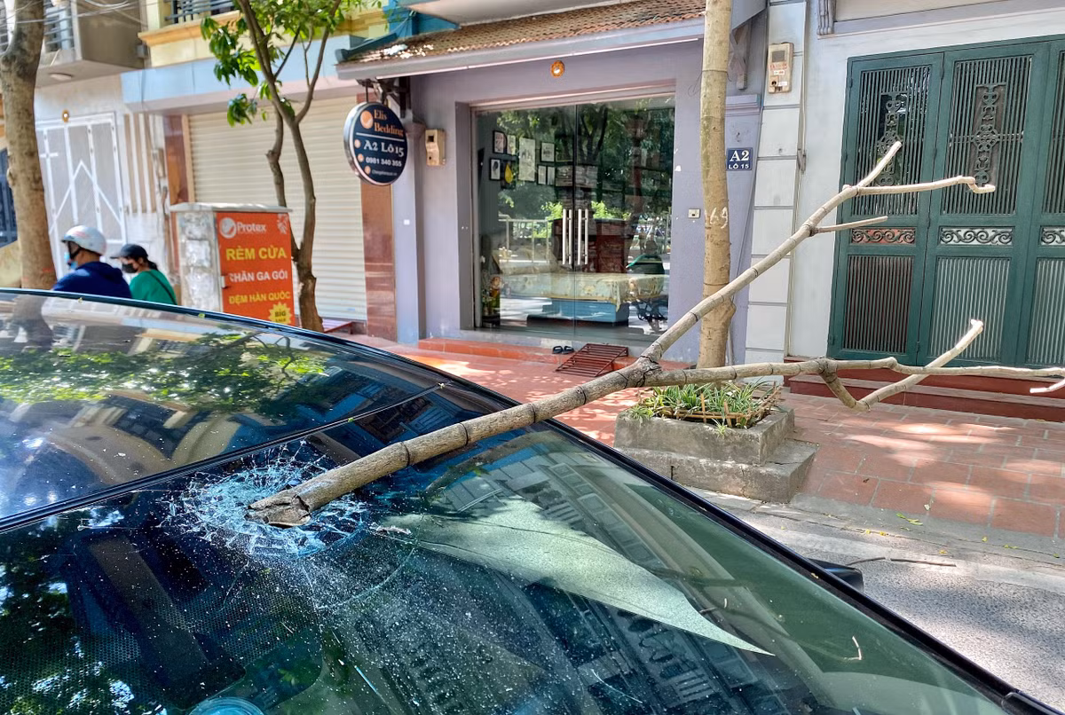 Hà Nội: Hoảng hồn cành cây 3m rơi xuyên thủng kính lái ô tô - Hình 2 Ha Noi: Hoang hon canh cay 3m roi xuyen thung kinh lai o to-Hinh-2