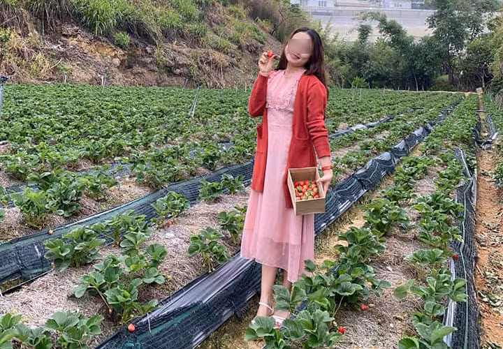 Từ đây, cơ quan chức năng phát hiện một đường dây đưa người Trung Quốc nhập cảnh trái phép vào Việt Nam.