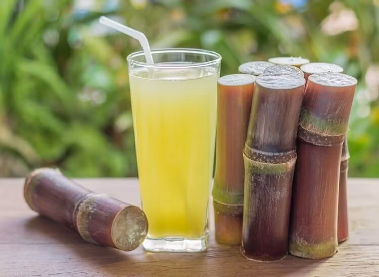 Các triệu chứng ngộ độc do ăn phải mía bị mốc như thế nào? Ban đầu là rối loạn tiêu hóa thoáng qua, buồn nôn, nôn, đau bụng, tiêu chảy, phân đen, sau đó là các triệu chứng thần kinh như chóng mặt, nhức đầu, mắt thâm quầng và nhìn nét đôi.