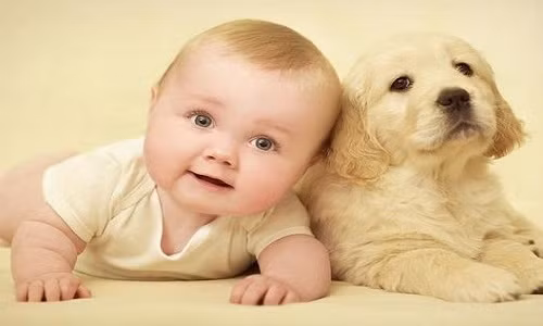 Giống với các bé trai, khi đặt tên cho bé gái sinh năm Mậu Tuất, cha mẹ cần lưu ý đến những cái tên thuộc hành Mộc.
