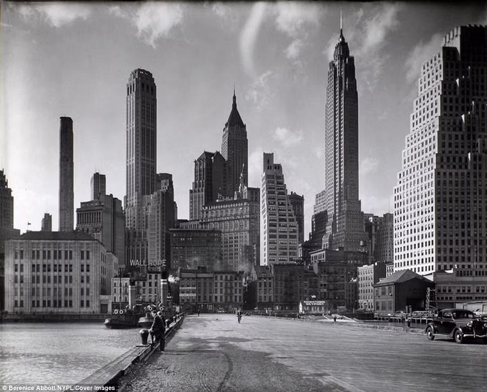 Trong khuôn khổ Dự án Nghệ thuật Liên bang (FAP), nhiếp ảnh gia Berenice Abbott đã chụp 305 bức ảnh ghi nhận diện mạo thành phố New York những năm 1930.