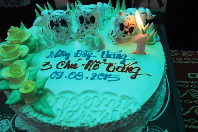 Nguoi Sai Gon hao huc du day thang 3 chu ho trang