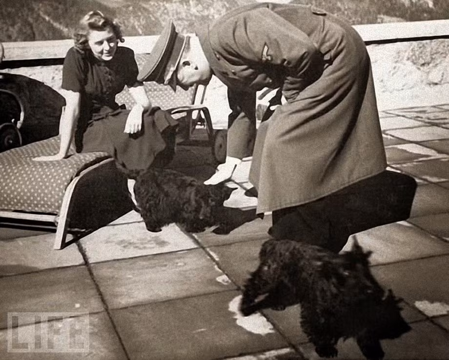 Hitler rất yêu thương và quý mến những chú cún, hươu, nai...