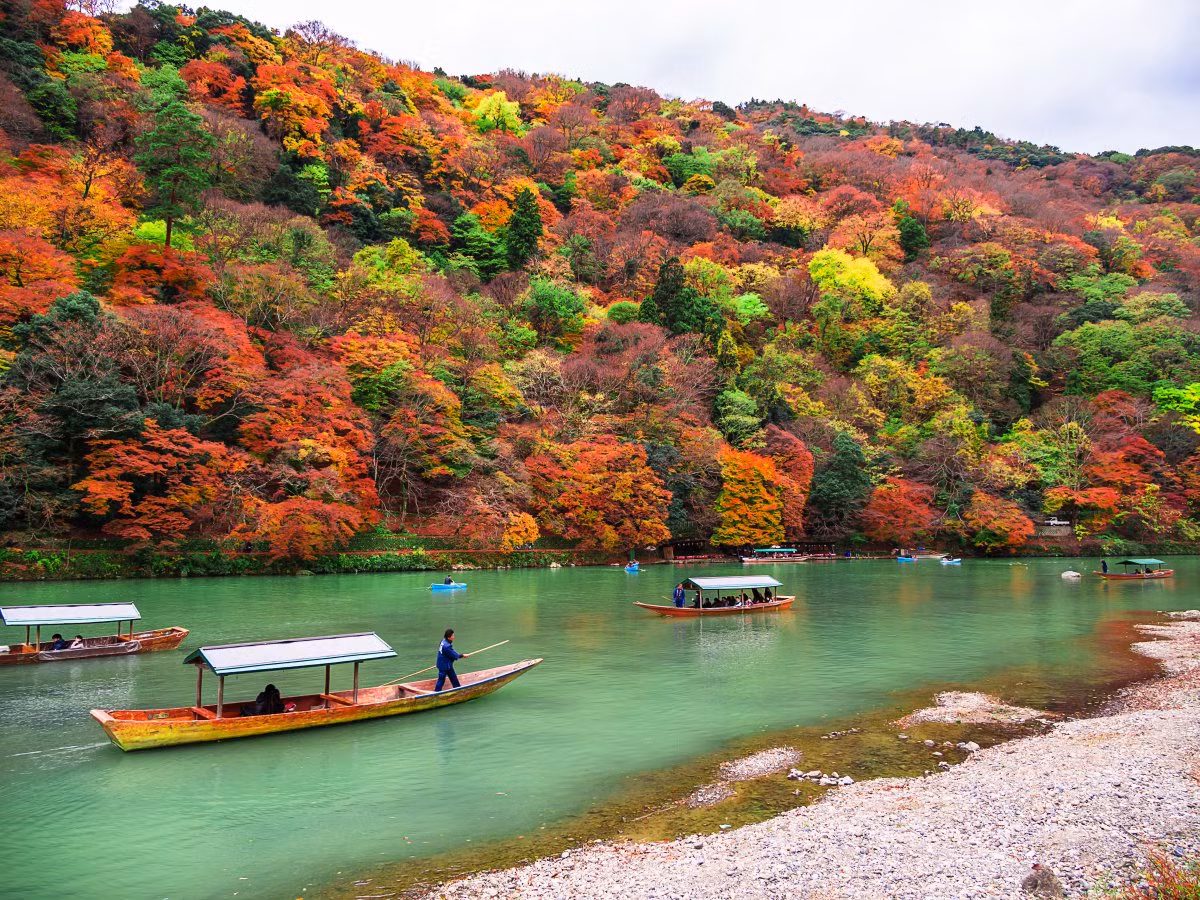 Đi thuyền trên sông Oi hướng về khu vực Arashiyama sẽ giúp mọi người có chuyến du lịch tuyệt vời.
