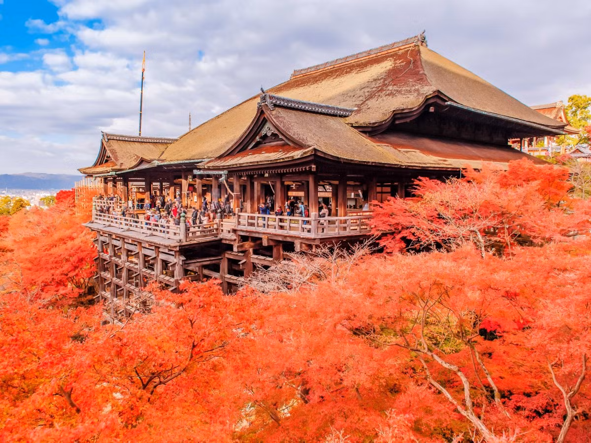 Cảnh sắc mùa thu tuyệt đẹp ở thành phố Kyoto.