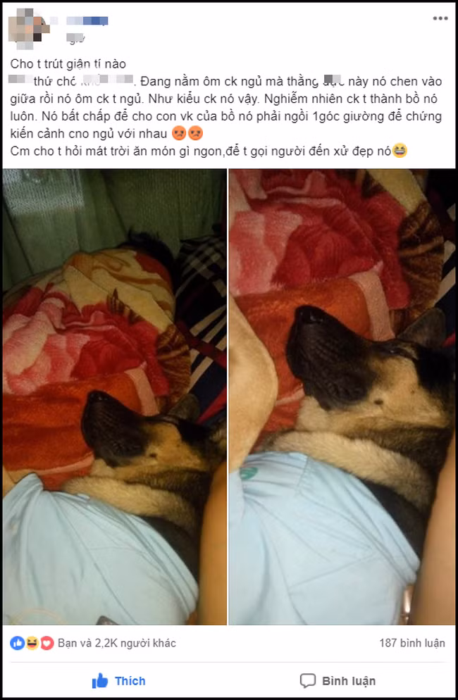 Vo dang dan trut gian vi bi 