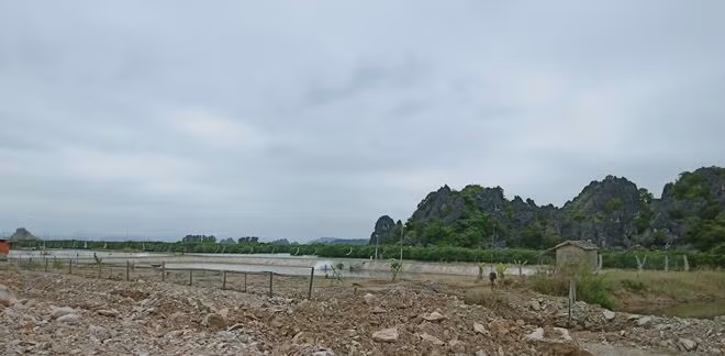 Bat chap lenh cam, giang ca ngan met luoi de bay chim o Ha Long-Hinh-3