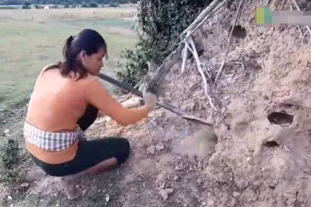 Tưởng kho báu, người phụ nữ đào xuống, phát hiện đáng sợ Tuong kho bau, nguoi phu nu dao xuong, phat hien dang so