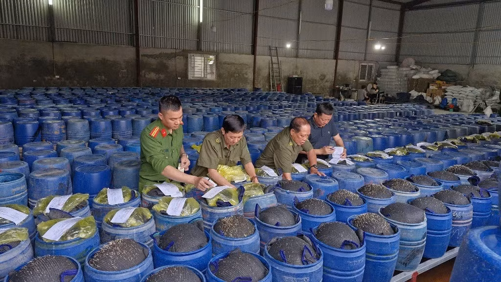 Triệt phá đường dây sản xuất 3.500 tấn giá đỗ chứa chất cấm Triet pha duong day san xuat 3.500 tan gia do chua chat cam