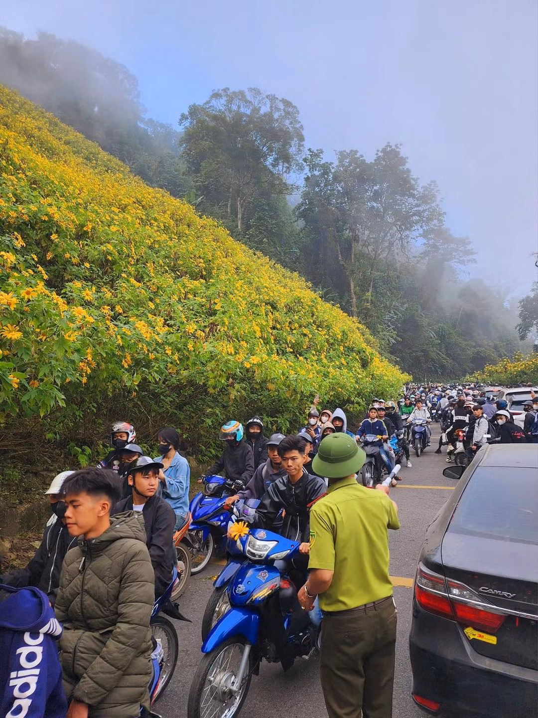 Nhiều người đã chụp ảnh cập nhật tình hình đăng lên các hội nhóm mạng xã hội, cho biết rằng đã chờ gần cả tiếng nhưng chưa tiếp cận được nhưng địa điểm hoa đẹp nhất, chưa chụp được ảnh.