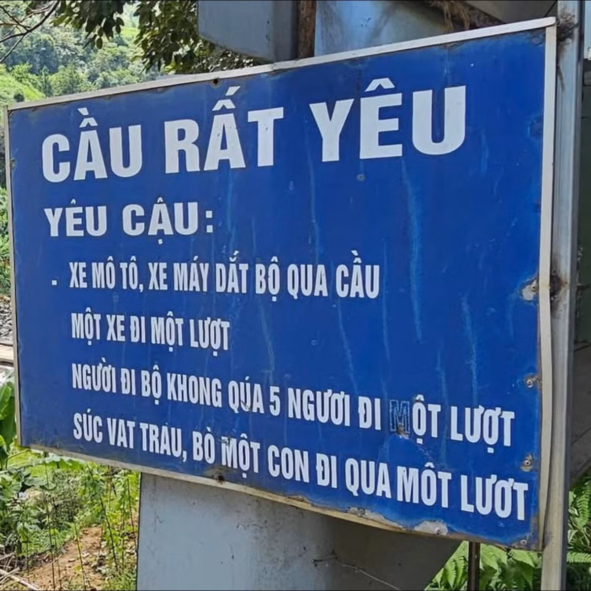Cây cầu có tên độc lạ này ở Yên Bái.