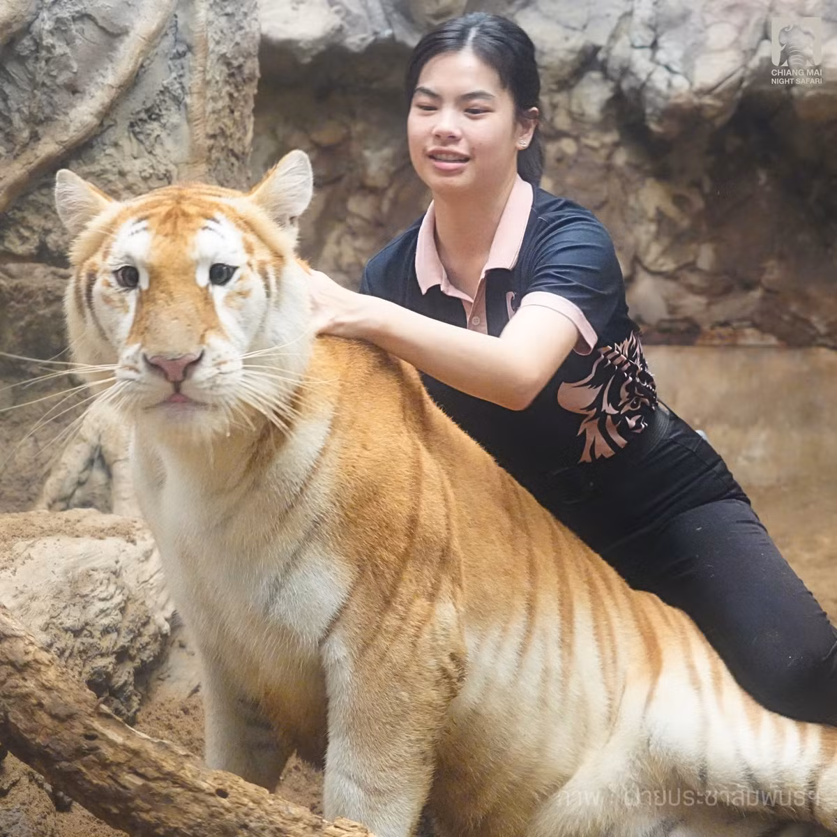 Ngay sau khi được đăng tải, những hình ảnh về Eva đã thu hút hàng chục ngàn lượt thích và chia sẻ trên mạng xã hội chỉ trong 1 ngày.