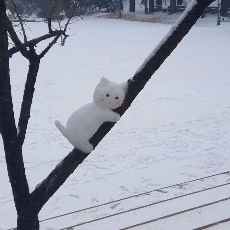 Chú mèo trên cành cây.