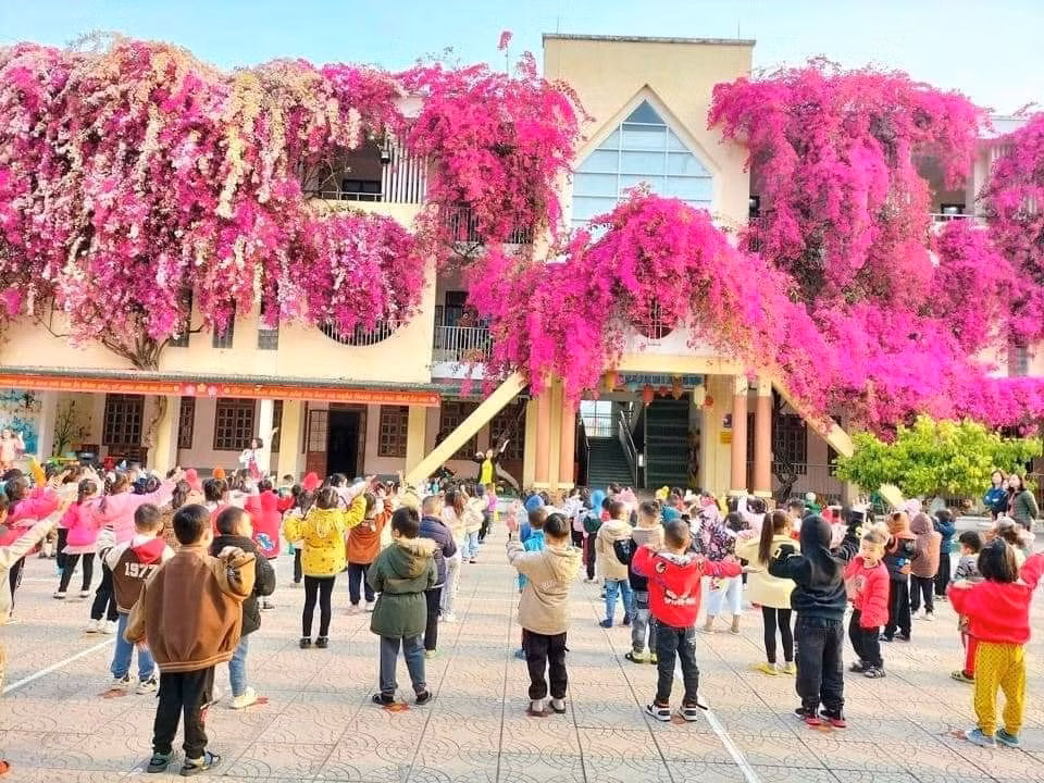 Khung cảnh lãng mạn này khiến bất cứ ai nhìn thấy cũng phải xao xuyến.