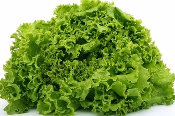 Ngoài việc kiểm soát thực phẩm giàu purin, bạn cũng nên ăn các thực phẩm hỗ trợ điều hòa axit như rau diếp xoăn, cần tây, nghệ... (Ảnh: Vanvat)