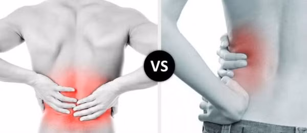 Lý giải tình trạng thận có vấn đề gây đau thắt lưng, chuyên gia cho biết thận nằm ở thắt lưng. Một số dây thần kinh ở thắt lưng thông với thận, khi thận có vấn đề sẽ gây đau thắt lưng. (Ảnh: Shutterstock)