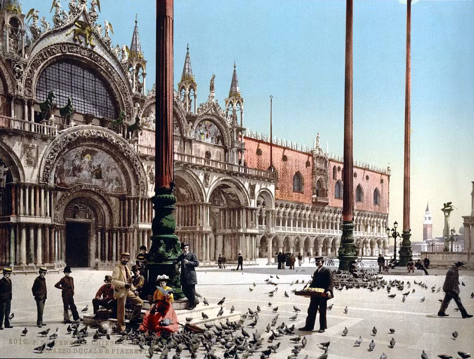 Đàn bồ câu ở quảng trưởng St. Mark của Venice.