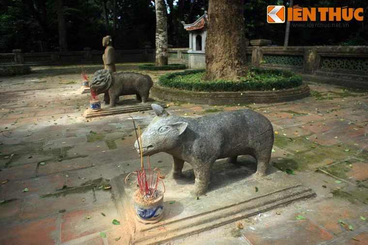 Đó là những bức tượng quan văn, quan võ và tượng các loài động vật gồm voi, nghê, ngựa, tê giác và hổ. Đặc biệt, sự xuất hiện của tượng tê giác có thể nói là điều hy hữu, vì hình tượng loài vật này hầu như không được ghi nhận tại các lăng mộ cổ khác ở Việt Nam.