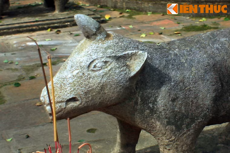 Điểm thú vị trong tạo hình của hai bức tượng này là sừng tê giác được đặt trên đỉnh đầu - giống như hình tượng kỳ lân trong văn hóa phương Tây - chứ sừng không nằm trên mõm như hình ảnh loài tê giác trong thực tế.