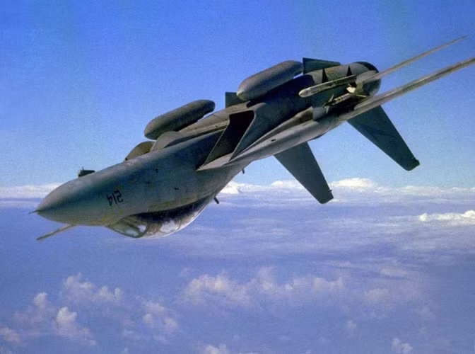 F-14 Tomcat được thiết kế với kiểu cánh cụp cánh xòe, 25% lực nâng của F-14 đến từ khu vực rộng lớn giữa 2 cánh.