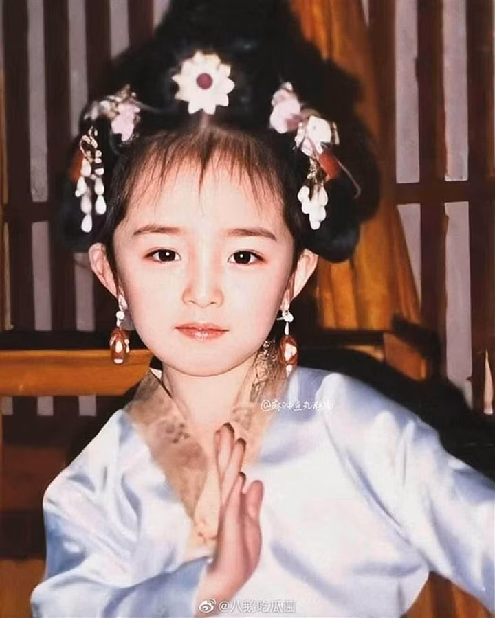 Dương Mịch có gương mặt trái xoan, sống mũi cao, đôi mắt sáng toát lên vẻ thông minh, lanh lợi. Bốn tuổi, cô đã có vai diễn đầu tiên - công chúa Hàm Nghi trong phim "Đường Minh Hoàng".