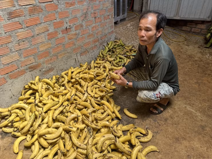Lao nong nuoi con “an qua tra vang”, thu 50 trieu dong/thang-Hinh-3