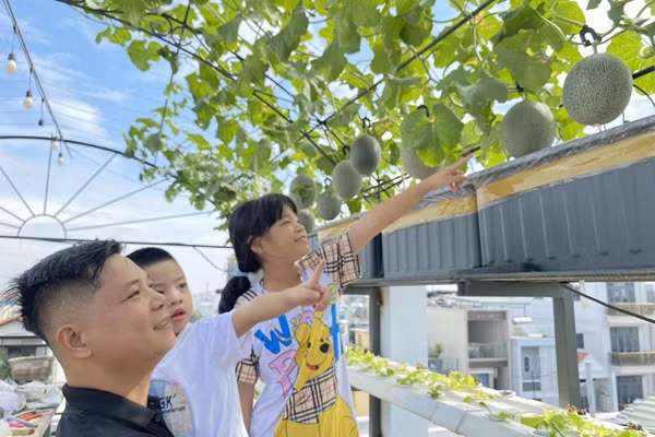 Lam vuon theo mo hinh Aquaponic, ca nha thoai mai huong trai ngot