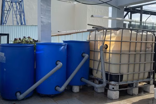Lam vuon theo mo hinh Aquaponic, ca nha thoai mai huong trai ngot-Hinh-2