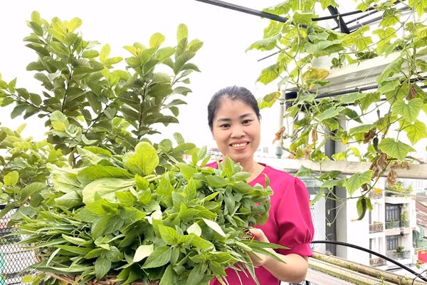 Lam vuon theo mo hinh Aquaponic, ca nha thoai mai huong trai ngot-Hinh-10