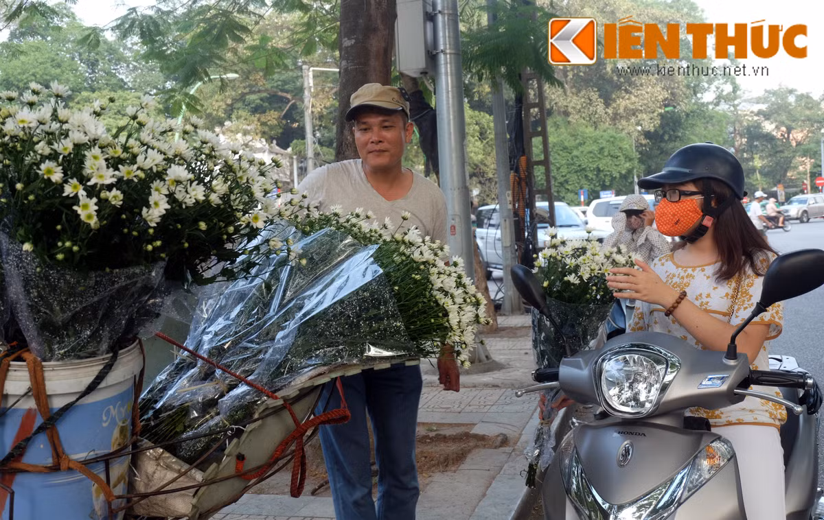 Người bán hàng này chia sẻ, đây là ngày thứ 3 anh bán cúc họa mi. Mới đầu mùa nên giá hoa từ 30.000 - 50.000 đồng/bó.