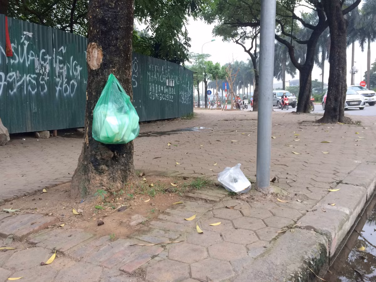 Rac thai bi vut bua bai khien duong pho Ha Noi nhin nhu lang que-Hinh-7