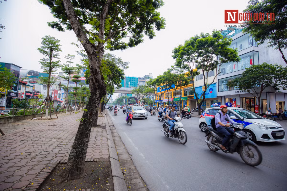 Tuyến phố Thái Hà, Thái Thịnh cũng nằm trong dự án cắt xén vỉa hè của Sở GTVT.