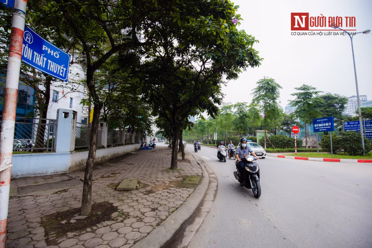 Cụ thể, các tuyến phố Tôn Thất Thuyết, Trung Liệt và các nút giao thông nối với phố Đặng Tiến Đông, Thái Hà, Thái Thịnh sẽ được mở rộng mặt đường đảm bảo an toàn giao thông và chỉnh trang cây xanh, thảm cỏ.