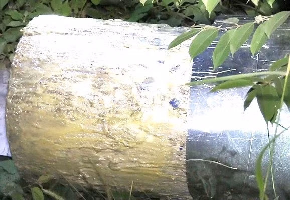 15h cùng ngày, cơ quan điều tra phát hiện ra tử thi thứ hai nằm trong một khối bê tông khác. Nạn nhân này cao khoảng 1,61m, khoảng 35 tuổi, tóc ngắn, mặc áo thun trắng, bên ngoài mặc áo khoác đen có mũ cùng quần dài thể dục màu xanh đen. Thi thể thứ hai được giấu trong một thùng phi xanh bằng nhựa được đổ đầy trà rồi quấn chặt bằng xốp, dán silicon.