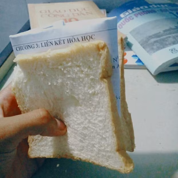 Làm thế nào để nhồi hết kiến thức vào đầu?