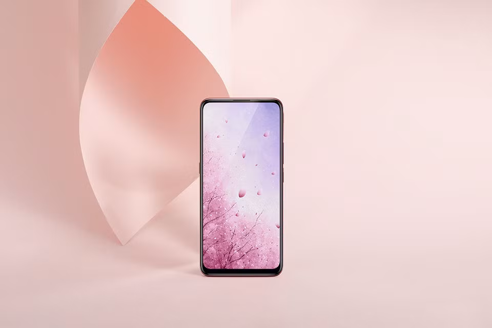 Ứng dụng chụp ảnh mặc định của Vivo S1 cũng được tích hợp trí tuệ nhận tạo AI, kèm theo nhiều hiệu ứng màu và công cụ chỉnh da. Chức năng nhận diện vân tay được tích hợp bên trong màn hình giọt nước tràn viền.