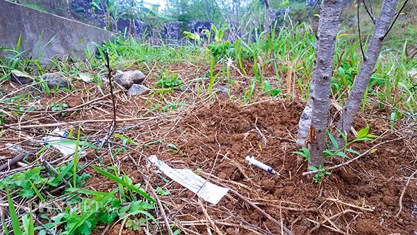 Dọc theo các bậc tam cấp dẫn lên cổng thành chỗ nào cũng gặp các loại rác do du khách để lại, lâu ngày không được dọn dẹp; thậm chí nhiều chỗ còn vương vãi bơm, kim tiêm…