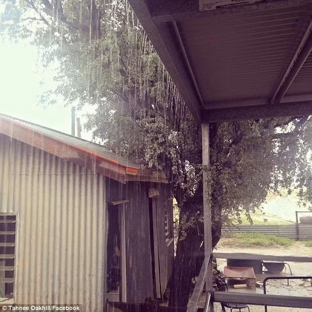 Tháng 3/2016, một cơn mưa mang theo những con cá đã xảy ra ở vùng Winton thuộc Queenland, Australia.