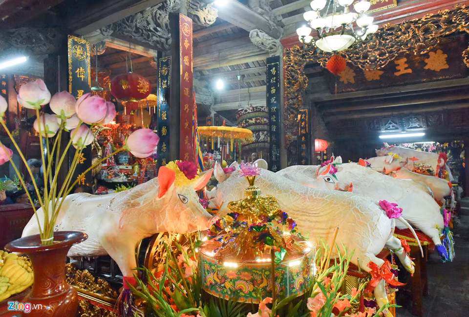 Để chuẩn bị cho lễ rước, lợn được làm sạch và trang trí đẹp mắt. Sau đó, lợn được đưa từ nhà quan đám (người mổ lợn) ra đình. Thanh niên khiêng kiệu đều phải là người chưa vợ.