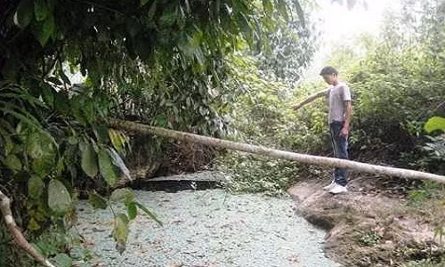 Hang nước mang nhiều câu chuyện kỳ lạ và huyền bí.