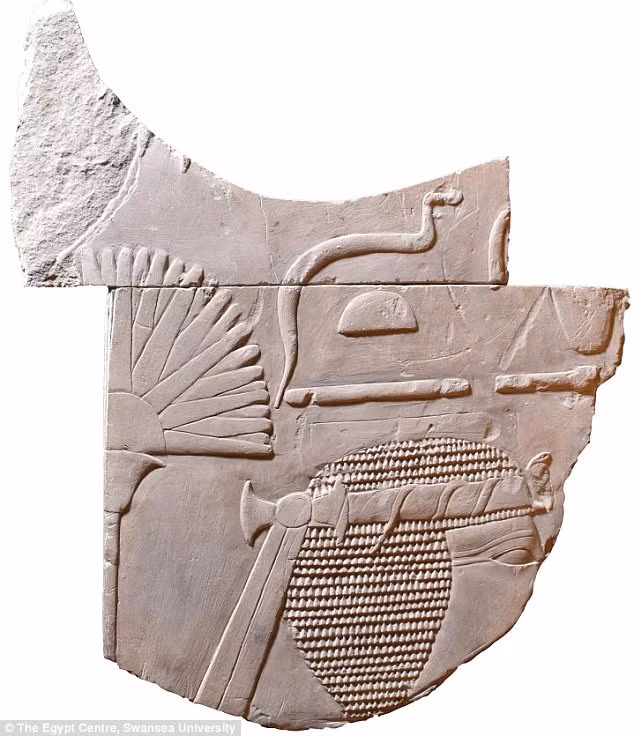 Việc tìm thấy tác phẩm điêu khắc tạc hình ảnh nữ pharaoh Hatshepsut được đánh giá là phát hiện hiếm có. Hiện vật cổ xưa này được Trung tâm Ai Cập học của Đại học Swansea thu thập vào năm 1971.