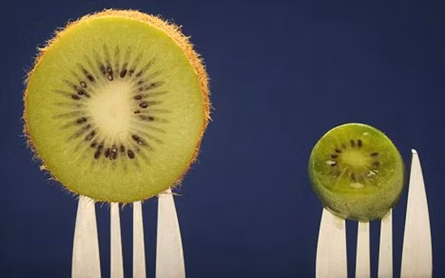 Trái kiwi to thông thường (trái), kiwi tí hon (phải).