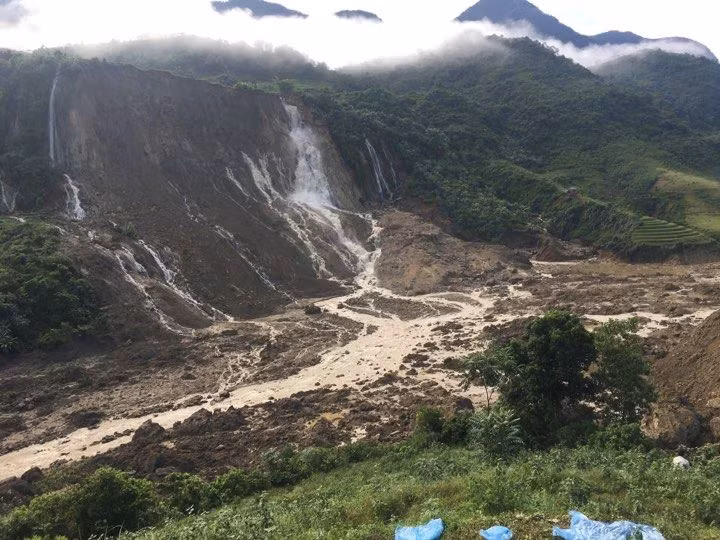 Mưa lũ đã làm ngập thiệt hại 22.926ha lúa (Sơn La: 553ha, Yên Bái: 281ha, Hòa Bình: 10.000ha, Hà Nội: 194ha; Hà Nam: 7.869ha; Ninh Bình: 2.647ha, Thanh Hóa: 1.096ha, Nghệ An: 323ha); 29.192ha ngô hoa màu (Sơn La: 110ha, Yên Bái: 705ha, Phú Thọ: 1.695ha, Hà Nội: 1.667ha, Hưng Yên: 850ha; Hà Nam: 8.212ha, Thanh Hóa: 7.023ha, Nghệ An: 8.630ha, Hà Tĩnh: 301ha) và 16.303ha cây trồng lâu năm, hàng năm và cây ăn quả tập trung: (Hà Nội: 218ha, Hưng Yên: 500ha, Hà Nam: 750ha, Thanh Hóa: 13.375ha, Nghệ An: 1.461ha).