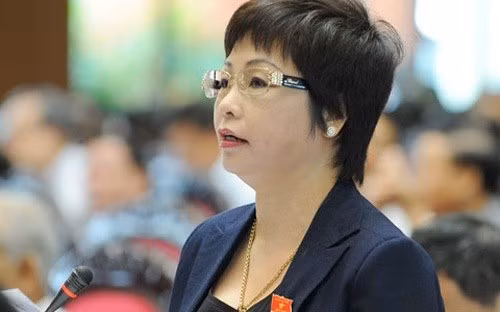 Xet xu cuu DBQH Chau Thi Thu Nga lua dao chiem doat tai san
