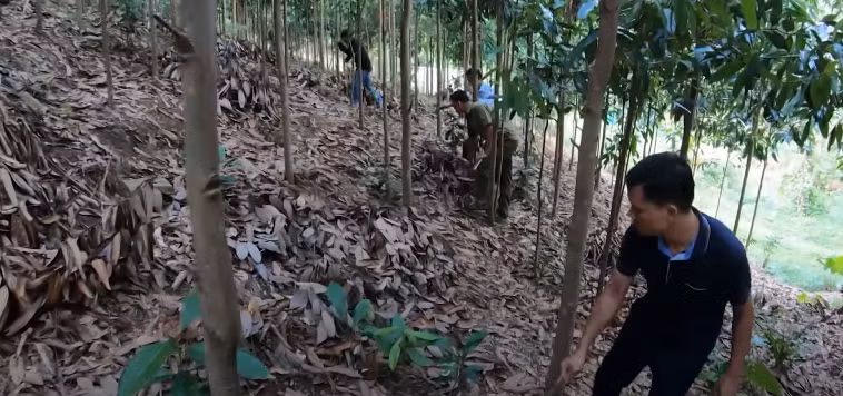 Giữa cái nắng tháng 6 như thiêu đốt, họ lại miệt mài lật từng đống cỏ gianh đã phát tại khoảng nương này. Lớp cỏ trên bề mặt đã úa héo dưới ánh nắng chói chang, nhưng bên dưới vẫn còn xanh. Chính tình tiết “cỏ trên bề mặt đã úa héo dưới ánh nắng chói chang, nhưng bên dưới vẫn còn xanh” này đã giúp các trinh sát phát hiện ra sự tương đồng về độ héo của cỏ ở nương nhà bà Đôn tương đồng với nương nhà nạn nhân Đặng Thị Tâm.