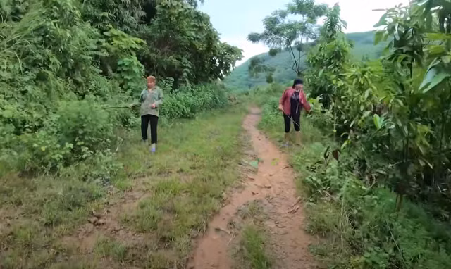 Ho so vu an: Bi an xac co gai bi vui sau duoi lop co ua-Hinh-2