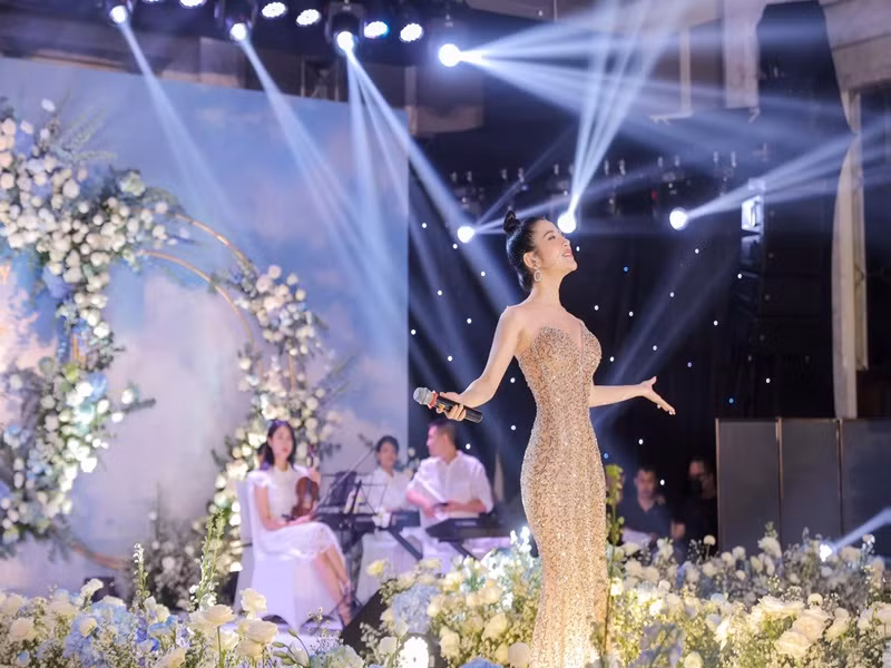 Mới đây, Tố My hát đám cưới nhà đại gia tại Kiên Giang. Quản lý của nữ ca sĩ cho hay, cát sê của Tố My tại đám cưới này "bằng một chiếc xe hơi".