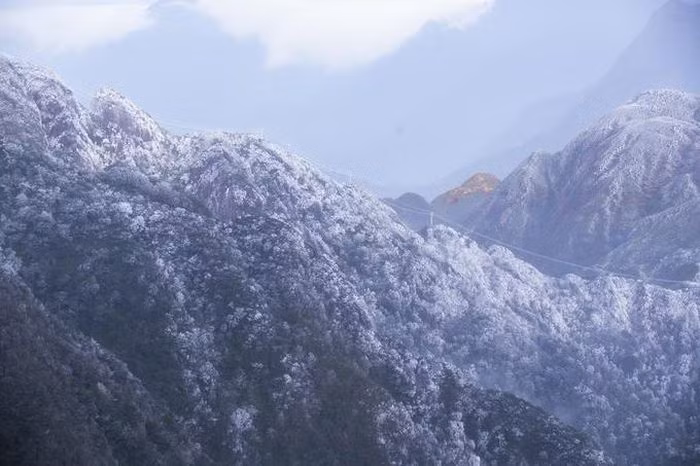 Mới đây, trong 2 ngày 28-29/12, Fansipan trở thành “tâm điểm” của du lịch miền Bắc, khi tuyết trắng rơi từ độ cao 2.800 m tới đỉnh 3.143m. Hàng chục đầu báo trong nước, hàng trăm bài đăng trên mạng xã hội đều chia sẻ về tuyết rơi trên đỉnh Fansipan. Ngay sau thông tin tuyết rơi, du khách khắp nơi đã vượt đường xa, đổ về đây để tự mình chiêm ngưỡng khung cảnh kỳ thú tuyết rơi ở Việt Nam.Từ tuyến cáp treo, du khách có thể chiêm ngưỡng những vạt rừng từ độ cao 2.800 m trong băng giá như dòng suối bạc lóng lánh. Trên đỉnh Fansipan, mưa tuyết rơi trắng trời, tạo nên khung cảnh lãng mạn như trời Âu.